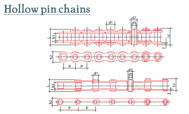 sschain
